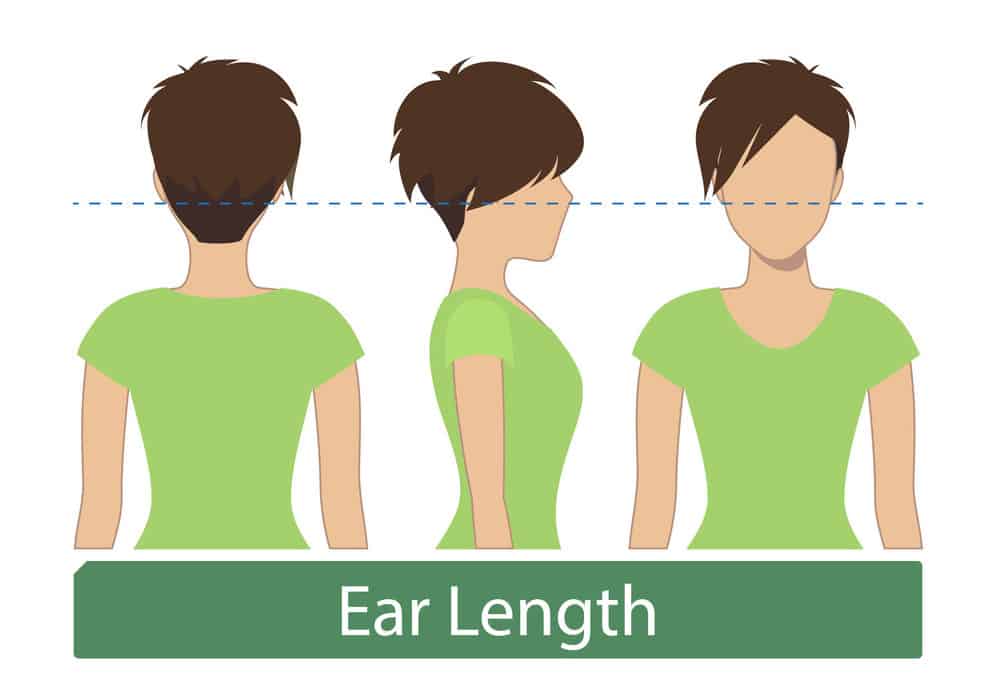5 Women S Hair Lengths Explained Charts Diagrams