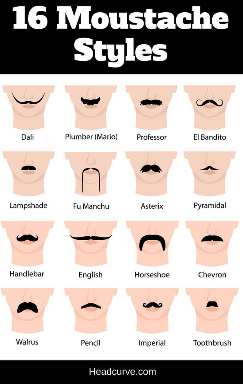 Chart illustrating the 16 different moustache styles and names