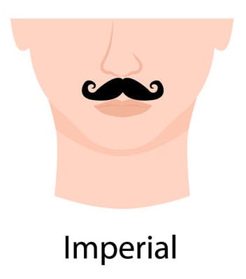 Imperial mustache style