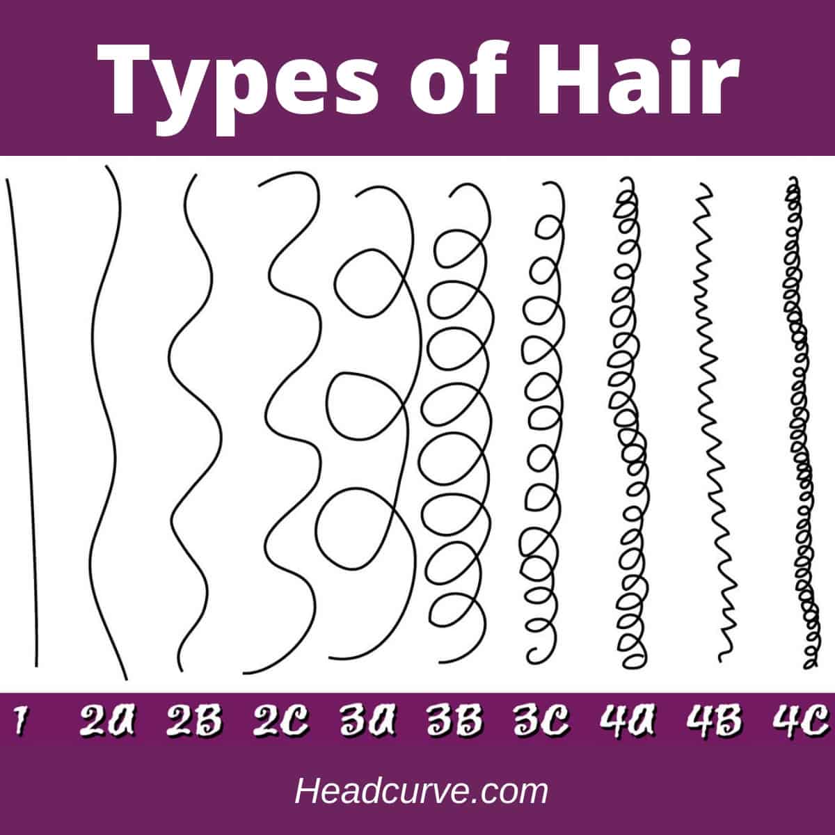 14 Types Of Women S Hair Do You Know Them All