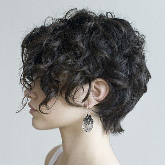 https://www.flickr.com/photos/152981057@N03/36734602452/ This cropped haircut requires a full head of hair. The top and sides of the hair can be curled into a mass of coils while the back remains straight and feathery.