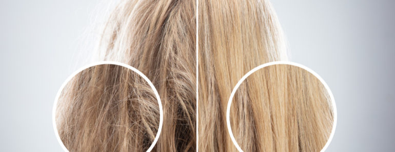Hair damage comparison photo