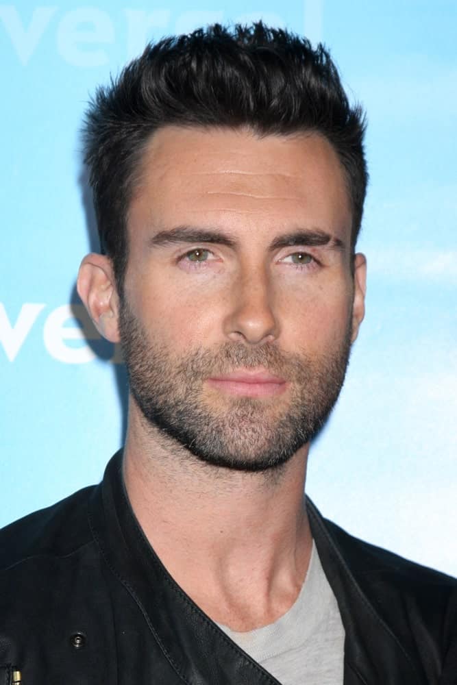 Adam Levine's handsome features were on full display with his spiked hairstyle and trimmed beard at the NBC Universal All-Star Winter TCA Party at The Athenauem on January 6, 2012 in Pasadena, CA.