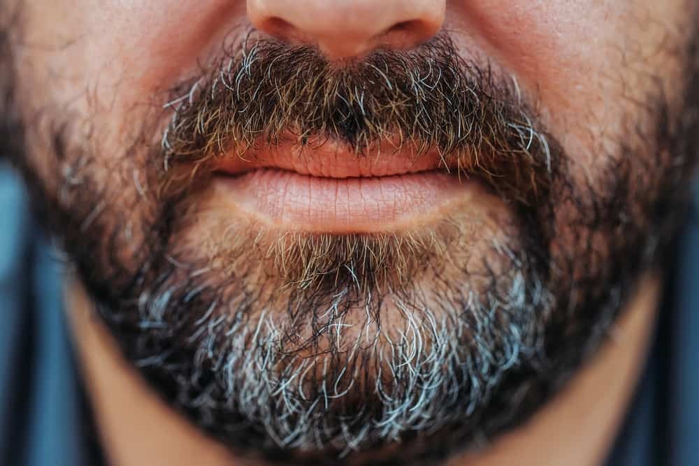 A close look at a full-bearded man with graying hair.